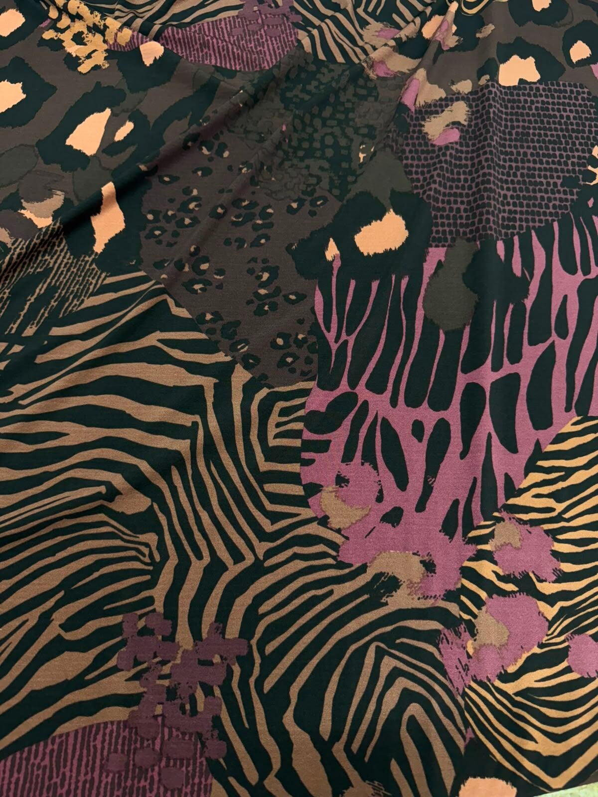 SANDY ZEBRA