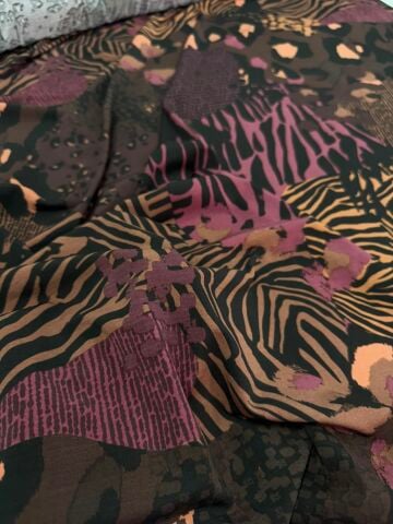 SANDY ZEBRA