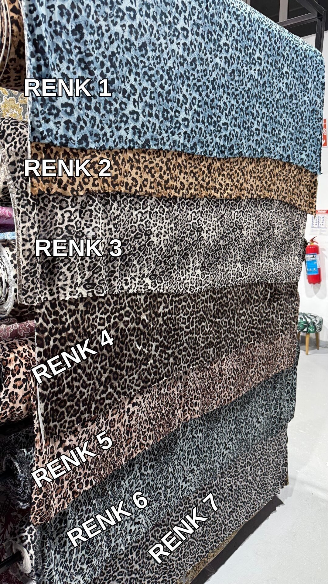 SANDY JAGUAR