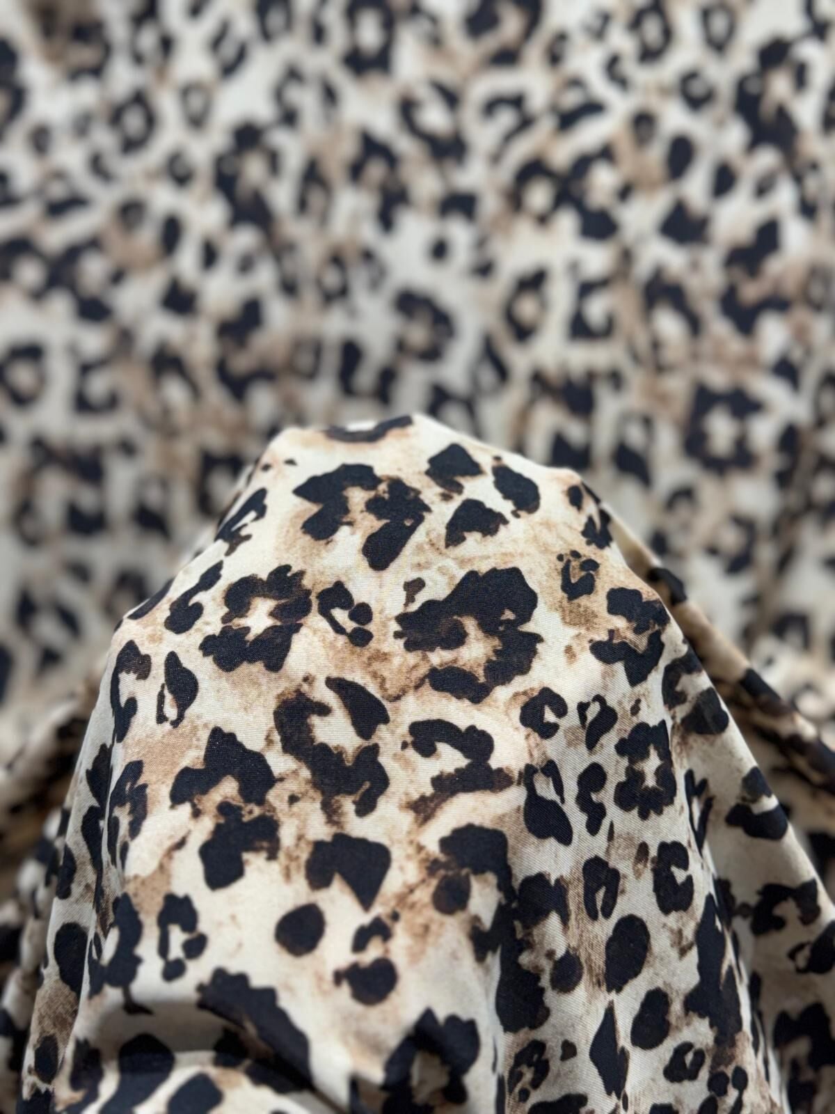 SANDY JAGUAR Renk 2