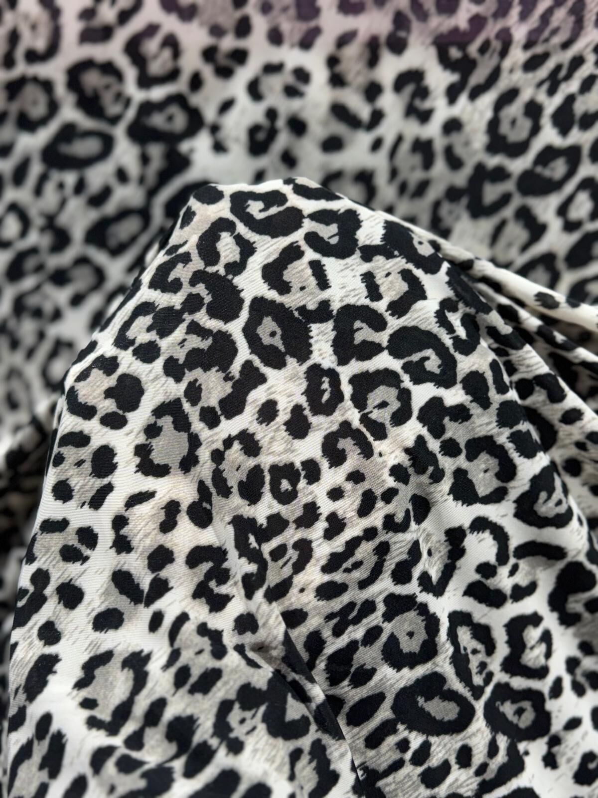 SANDY JAGUAR Renk 3