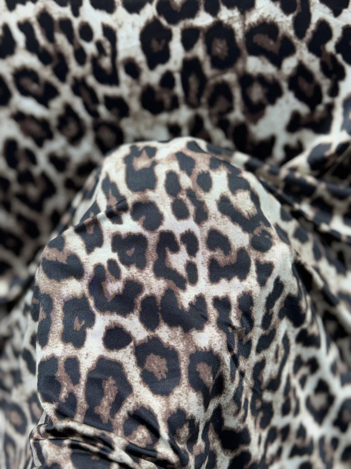 SANDY JAGUAR Renk 4