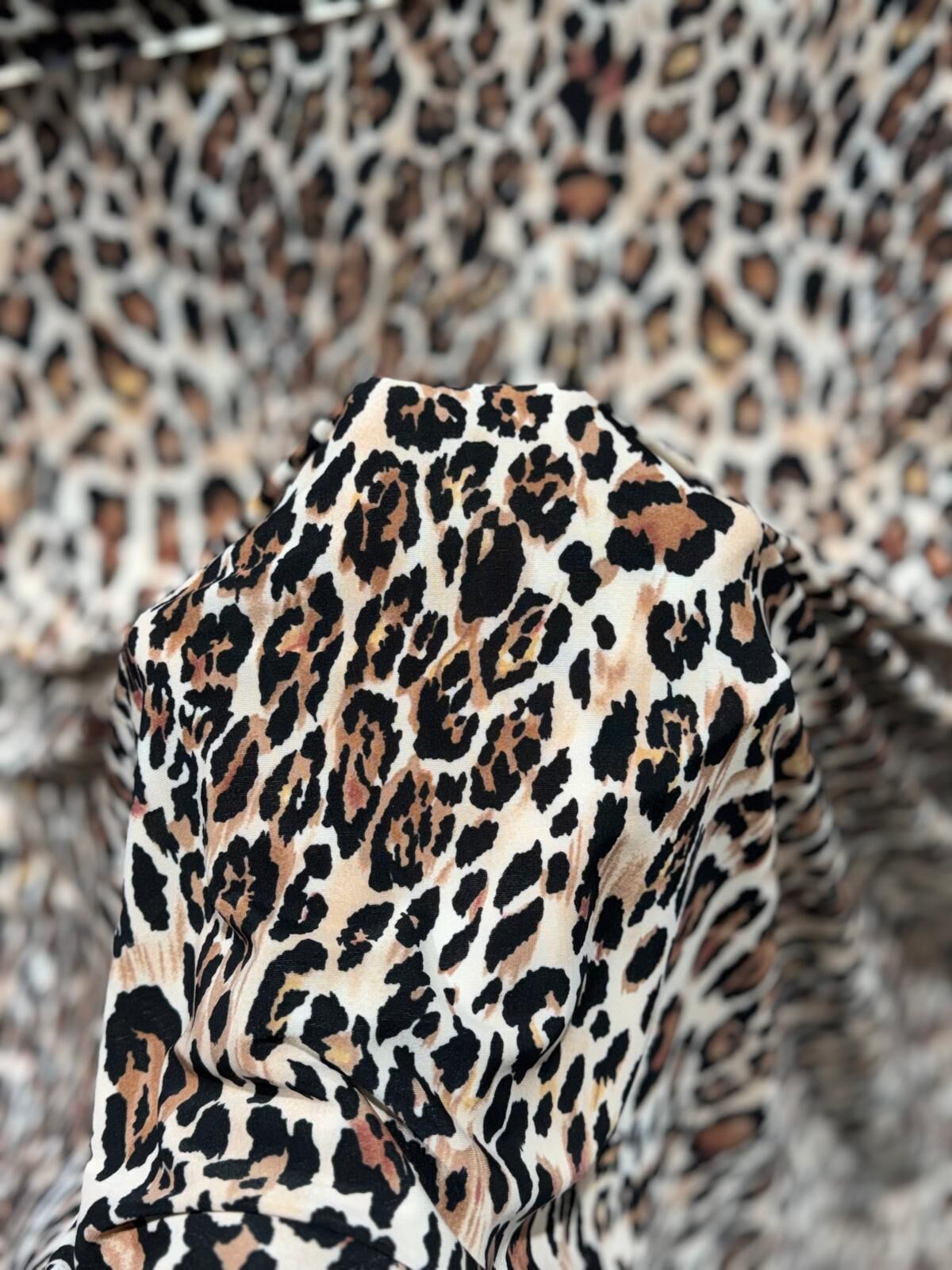 SANDY JAGUAR Renk 5