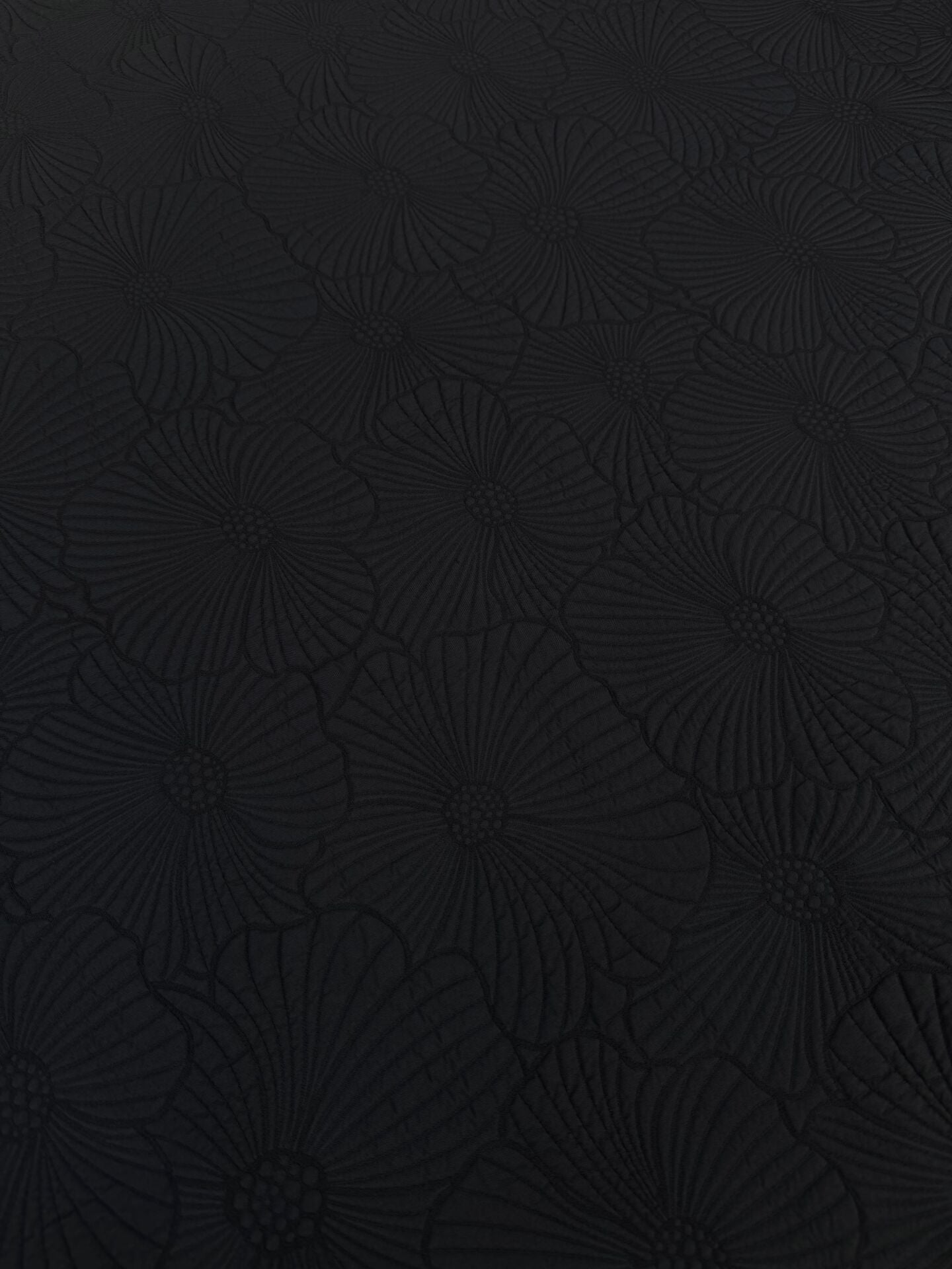 KAPİTONE NERO