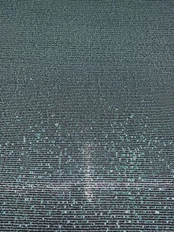 PUL DETAYLI DANTEL 2