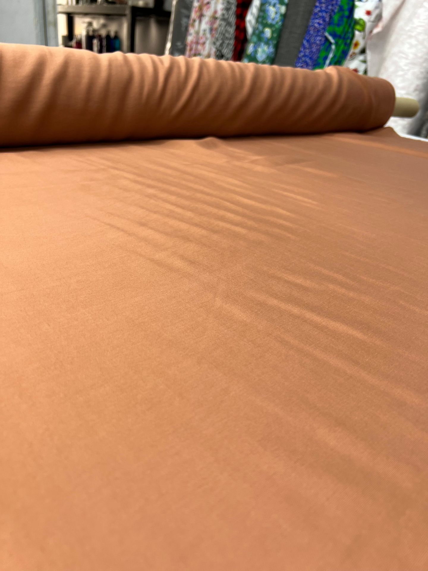 TAŞLANMIŞ AEROBİN